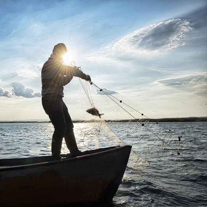 Fisherman hauling back a gillnet