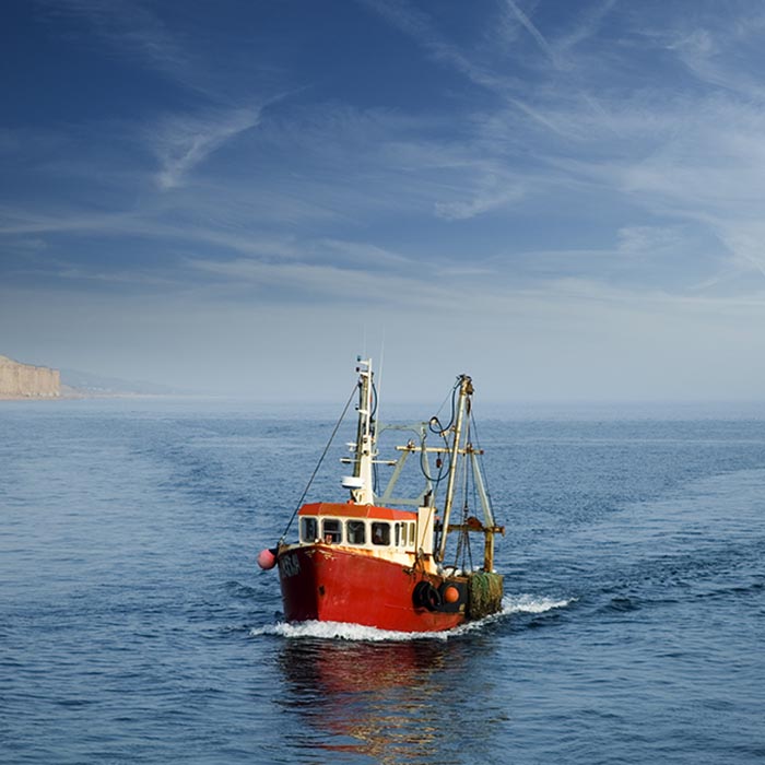 Vessel in transit from fishing grounds